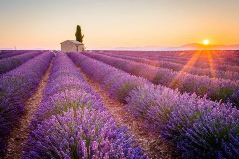 Ce village des Alpes-de-Haute-Provence est célèbre pour son miel de lavande, une dernière douceur estivale à savourer en automne