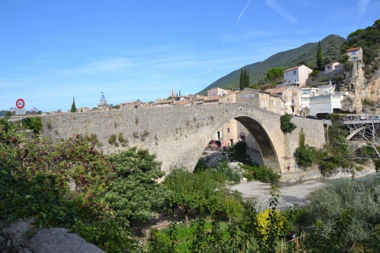 Non, ce n&rsquo;est pas l&rsquo;Italie, mais une ville de la Drôme qui est la capitale française de l&rsquo;olive noire et de son huile AOP